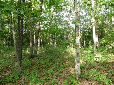 0 Tbd Nina St, Dixon, MO 65459 - photo 4