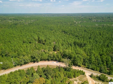 0 Bradford Rd, Choudrant, LA 71227 - photo 6