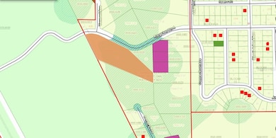 XXX Kingston Blvd, Satsuma, FL 32189 - photo 4