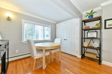 68 Wheatland St unit 1, Somerville, MA 02145 - photo 5