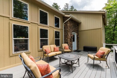 65 Nelson Way, Basye, VA 22810 - photo 5