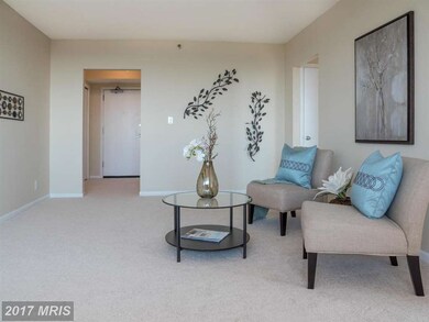 5501 Seminary Rd unit 2508S, Baileys Crossroads, VA 22041 - photo 6