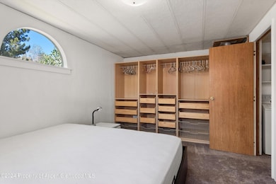 40 Aspen Village Rd, Aspen, CO 81611 - photo 6