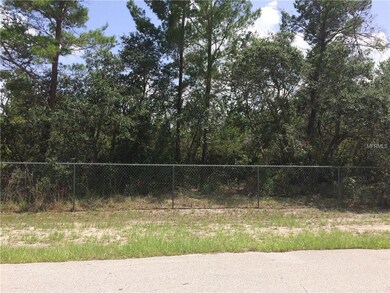 0 Ranchero Ct unit S4849981, Saint Cloud, FL 34771 - photo 3