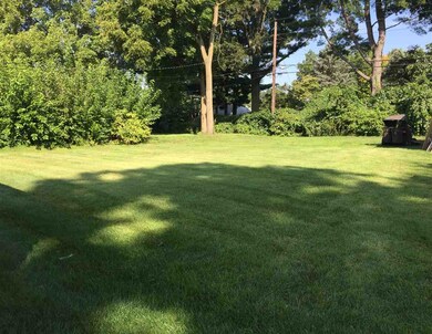 Back yard view