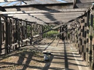 0 Main Grove St, Donna, TX 78537 - photo 3