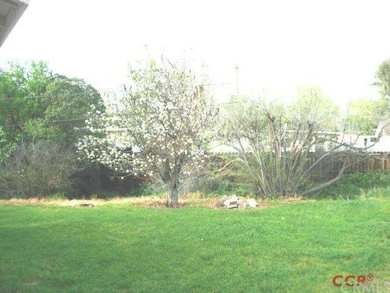 More rear yard and fruit trees.