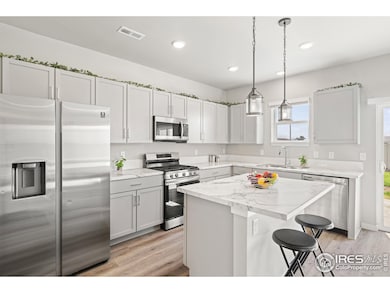 309 Pony Express Trail, Ault, CO 80610 - photo 4