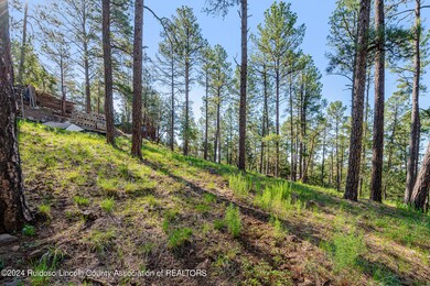 321 Hemlock Cir 4