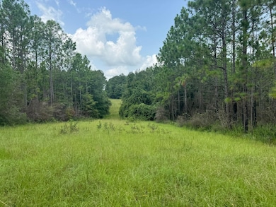 0 Nokomis Rd unit 21694228, Walnut Hill, FL 32568 - photo 6