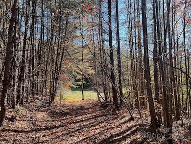 740 N Fork Rd, Bostic, NC 28018 - photo 6