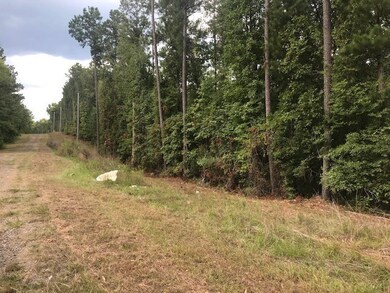 Lot 24 Zinnia Rd, Sparta, GA 31087 - photo 2