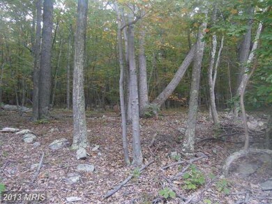 0 Roberts Ln unit 1003733060, Great Cacapon, WV 25422 - photo 2