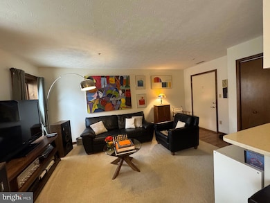 44792 Locust Ridge Ct unit 858, California, MD 20619 - photo 6