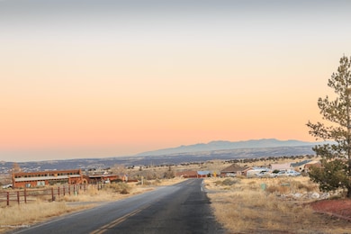 22 Road 3775, Farmington, NM 87401 - photo 5
