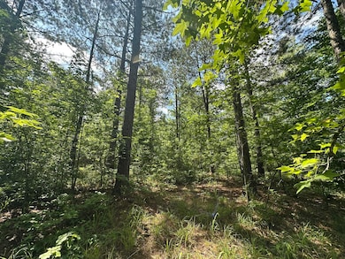 Lot 11 S Pointe Ct, Tignall, GA 30668 - photo 4