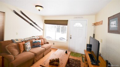 414 Tenderfoot St unit 9, Dillon, CO 80435 - photo 7