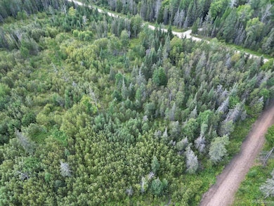 TBD Triple Creek Rd, Cornell, MI 49818 - photo 4