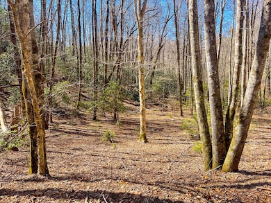 3088 Little Choga Rd, Topton, NC 28781 - photo 6