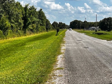 111 Mcmanus Rd, Rayville, LA 71269 - photo 4