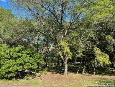 26026 Goldfinch Trail, San Antonio, TX 78255 - photo 4