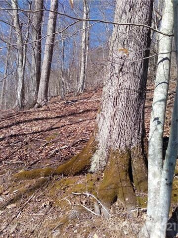 9999 Little Creek Rd, Burnsville, NC 28714 - photo 3