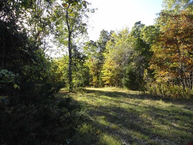 001-02053-004 Hand Cove Rd, Elizabeth, AR 72531 - photo 6