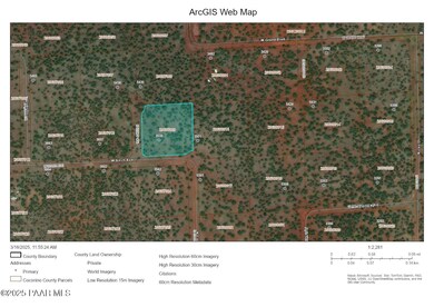 3539 Birch Ave, Kaibab Estates West, AZ 86320 - photo 5