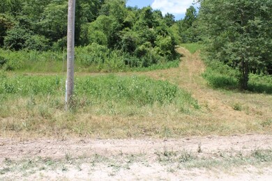 0 Hidden Valley Dr N, Omaha, AR 72662 - photo 6