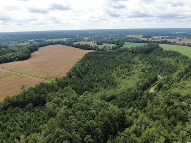 Aerial view of sparsely populated area with a forest
