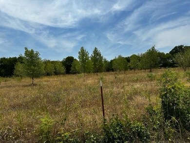 565 Lewis Deas Rd, Wht Settlemt, TX 76108 - photo 2