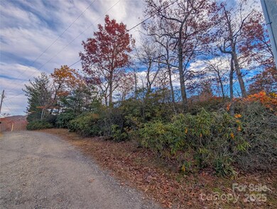 View of lot from gravel road frontage on Spar Mill Rd - lot is located to right in this photo