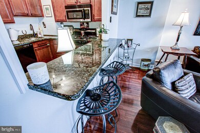 Radnor House unit 421, Bryn Mawr, PA 19010 - photo 6