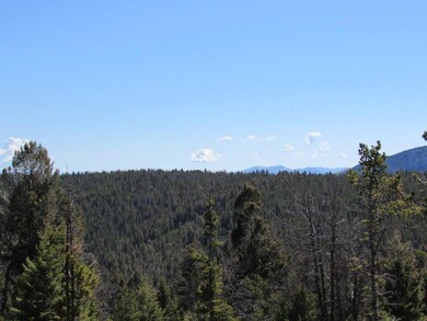 Titanus Quartz Hill Rd, Wise River, MT 59762 - photo 6
