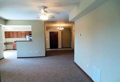 2321 183rd St unit 3NE, Homewood, IL 60430 - photo 6