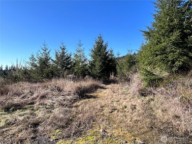 0 NKA Salmon Creek Rd, Toledo, WA 98591 - photo 2