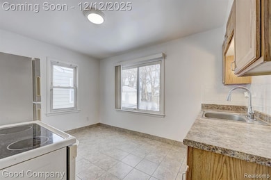 967 E Shevlin Ave, Hazel Park, MI 48030 - photo 7