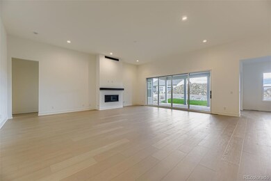 641 Bistort Point, Castle Rock, CO 80104 - photo 6