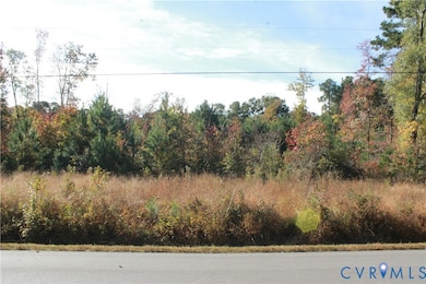TBD E River Rd, Miles, VA 23025 - photo 2