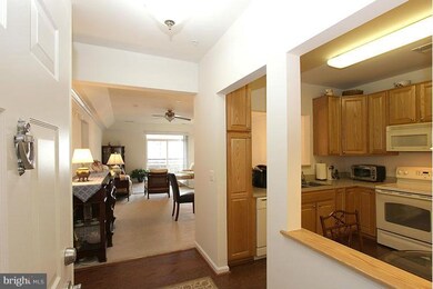 6155 Shadywood Rd unit 408, Elkridge, MD 21075 - photo 3