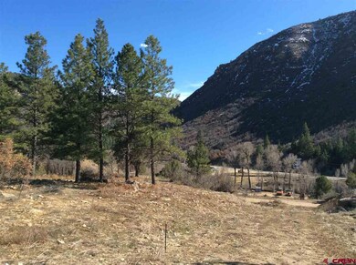 0 Yucca Ct unit 729683, Durango, CO 81301 - photo 5