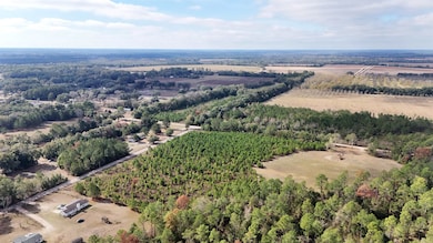 Vacant Cox Rd, Quincy, FL 32351 - photo 3