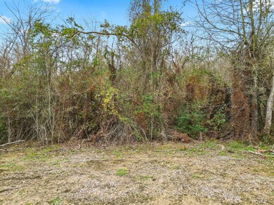 0 Bell Verdine Rd, Parish Governing Authority District 15, LA 70669 - photo 6