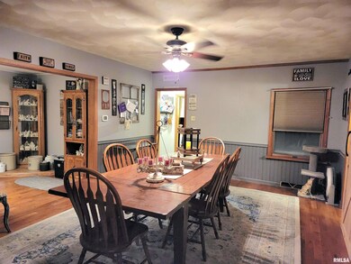 413 N Mclean St, Lincoln, IL 62656 - photo 5