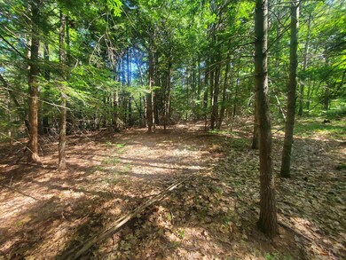 0 Craney Hill Rd, Henniker, NH 03242 - photo 2