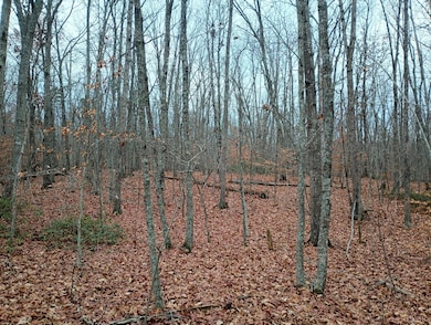 0 Axtell Rd unit 363502, Scottsville, VA 24590 - photo 4