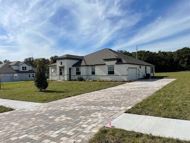 10064 Dolphin Gull Cir, Thonotosassa, FL 33592 - photo 3