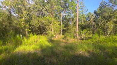 Lot 20 SW Ivy Place, Dunnellon, FL 34431 - photo 3