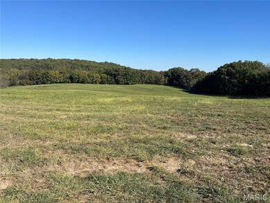 39 (Lot 4) Autumn Ridge Dr, Elsberry, MO 63343 - photo 7