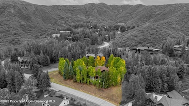 57 Saddleback Ln, Snowmass Village, CO 81615 - photo 4